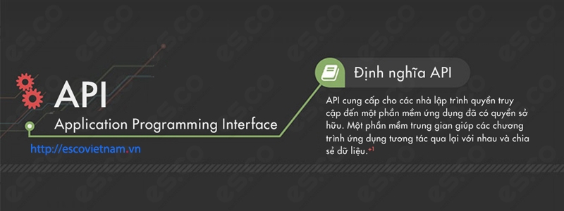 lap trinh ung dung api cho thiet ke website
