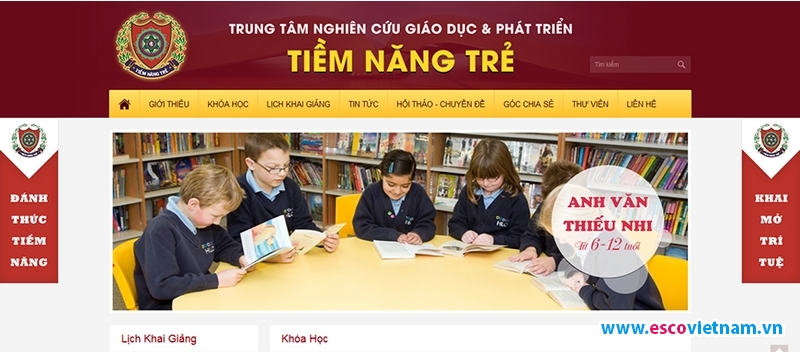 lua chon cong ty thiet ke website gia re